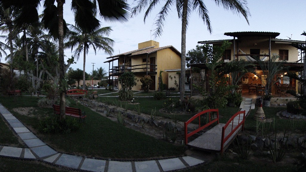 DSC09996