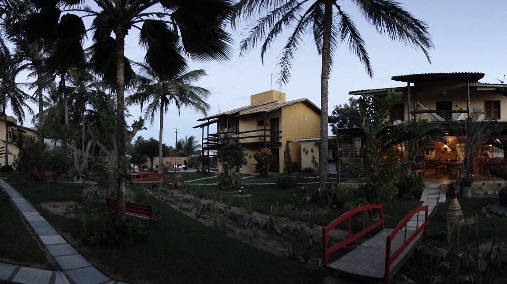 DSC09997